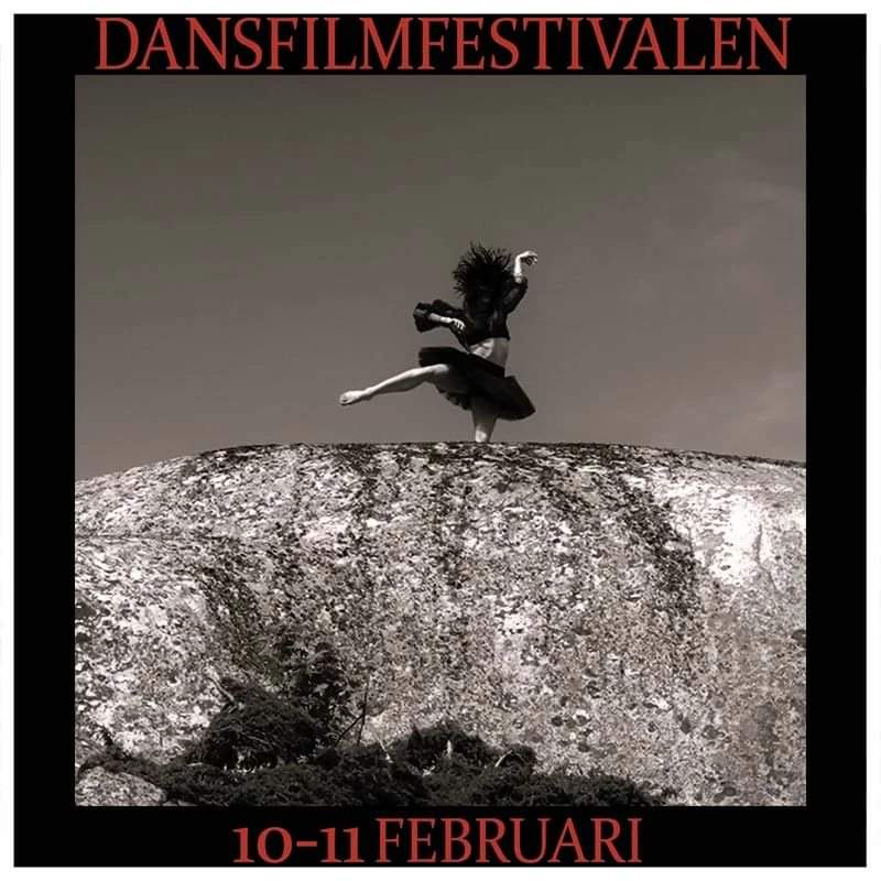 Urpremiär för the Swan 2.0 på Dansfilmfestivalen på Ringön, Göteborg 10-11 februari